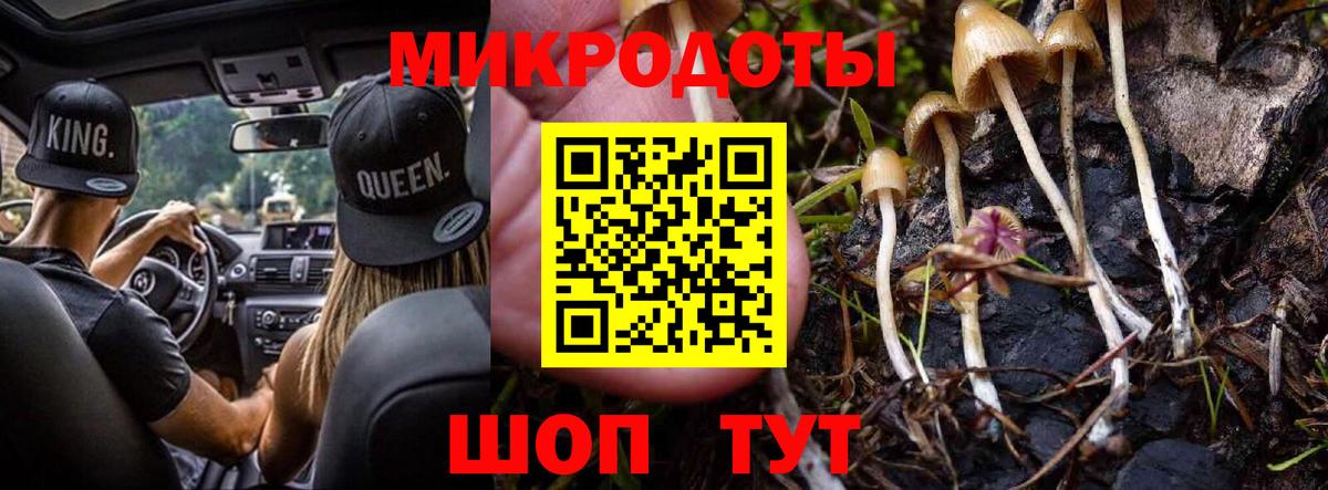 Лсд 25 Ахтубинск