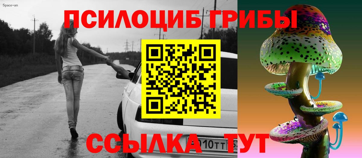 Псилоцибиновые грибы GOLDEN TEACHER Ахтубинск